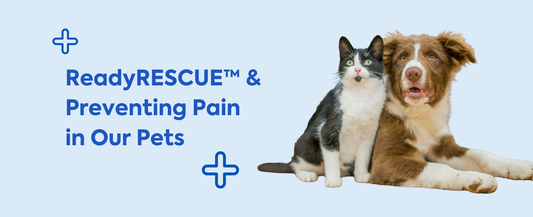 ReadyRESCUE™ & Preventing Pain in Our Pets