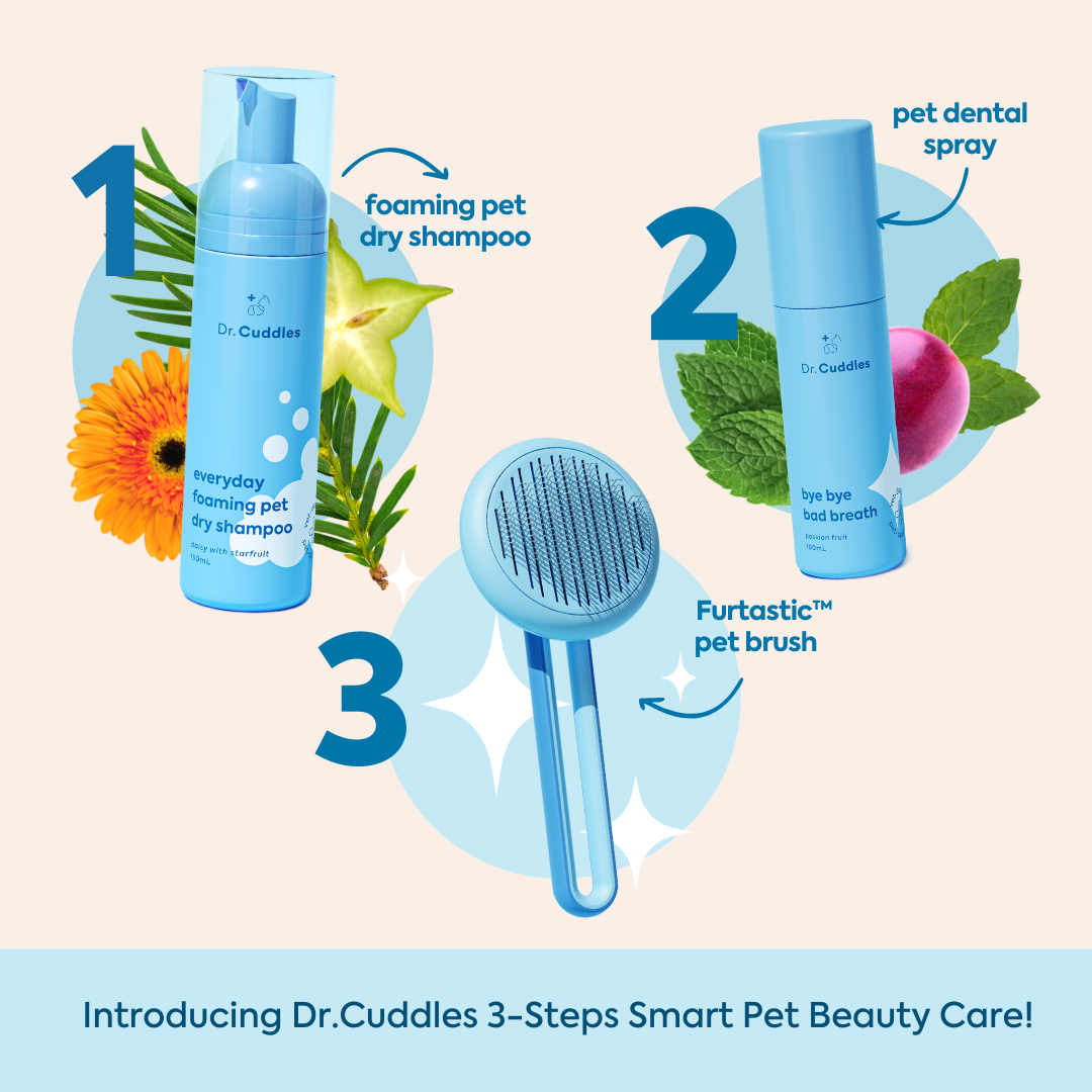 Travel Size Everyday Dry Shampoo