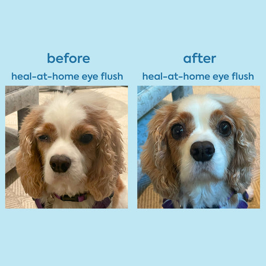 Heal-at-home eye flush