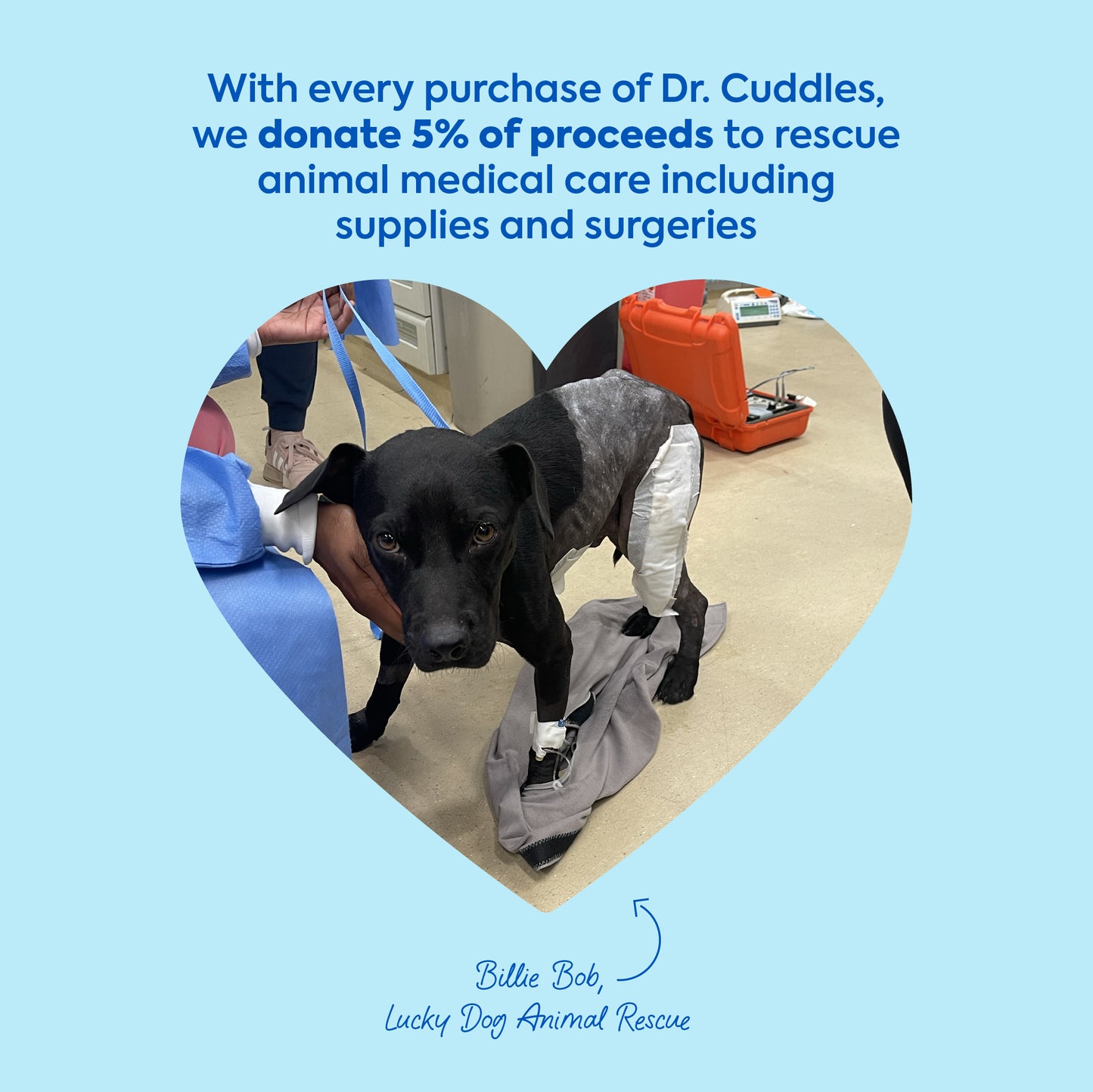 lifesaving tool for chocolate & other pet poisons