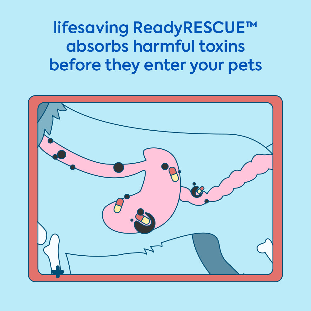lifesaving tool for chocolate & other pet poisons