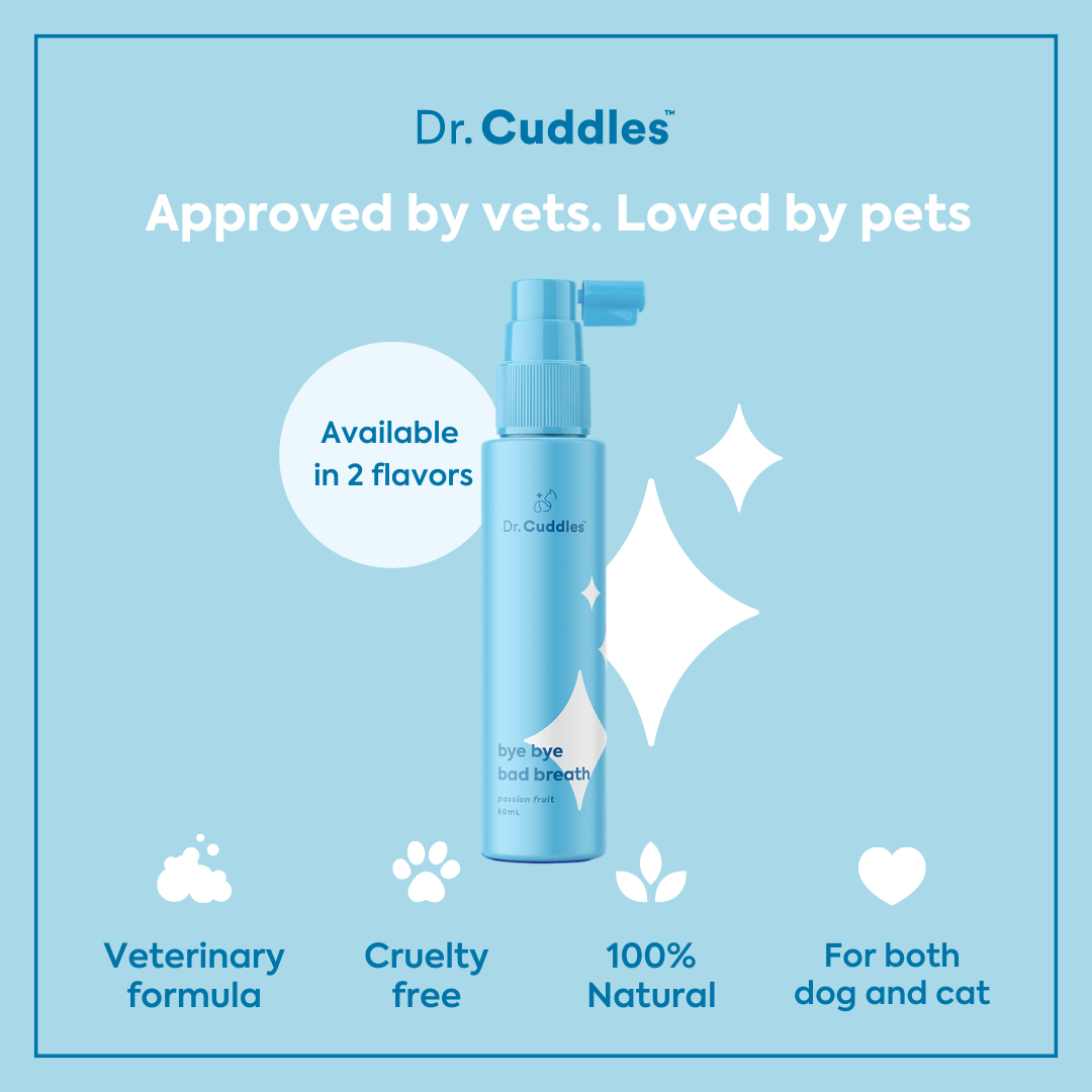 Shiny teeth pet dental spray