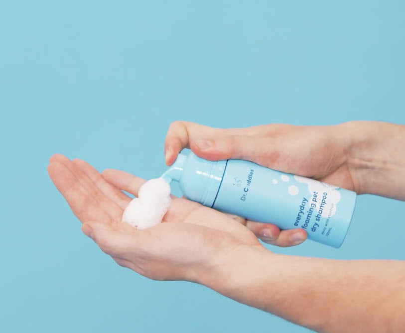NEW* Seasonal foaming pet dry shampoo