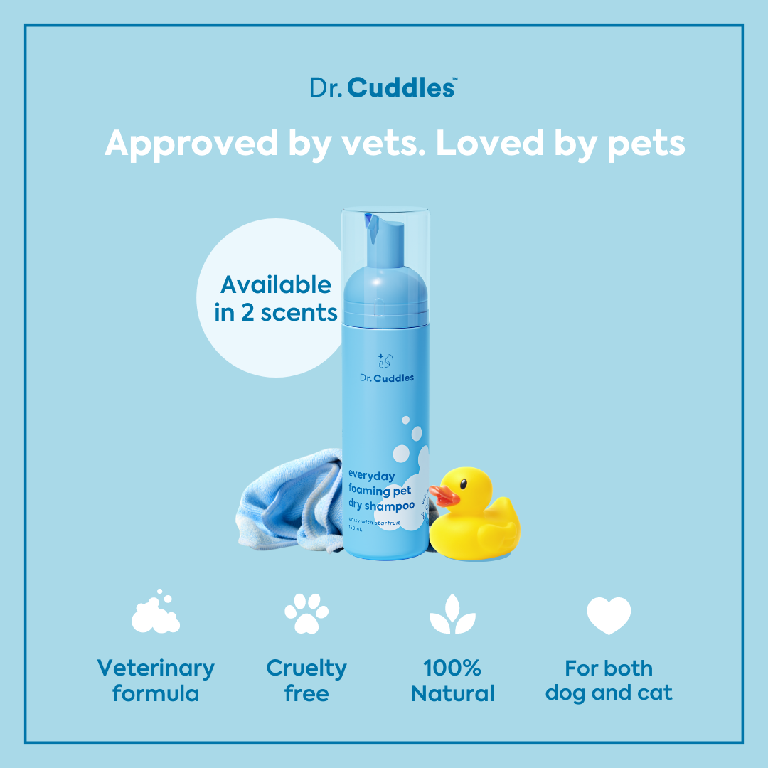 Foaming pet dry shampoo