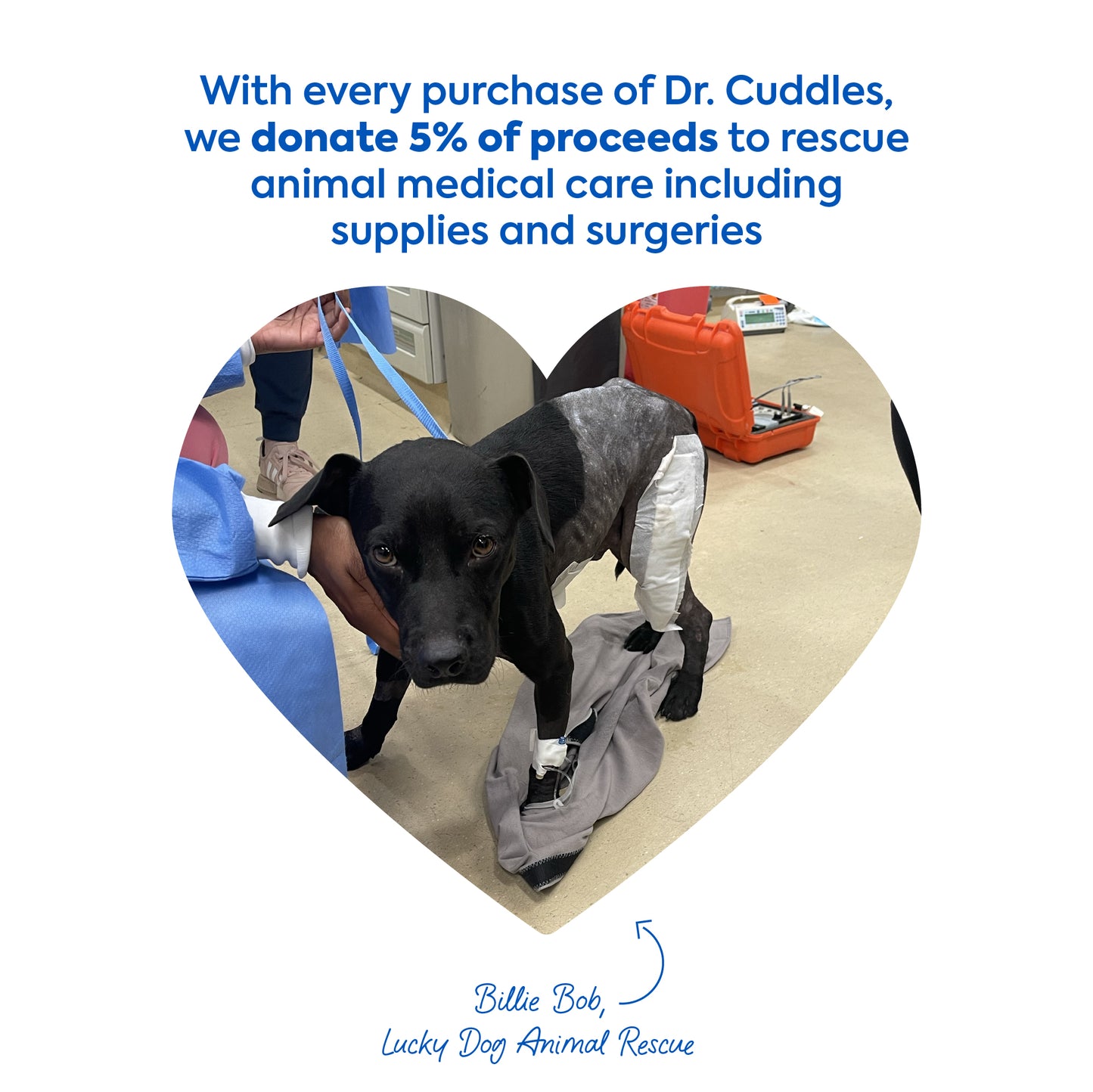 Pawfect Gloss™ bubble pet shampoo