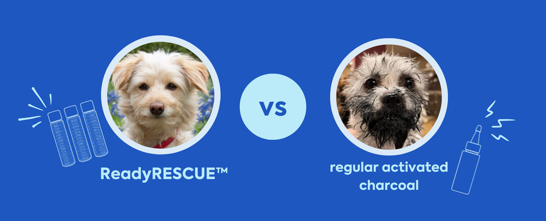 ReadyRESCUE™ vs. Conventional Activated Charcoal: A Comprehensive Guide for Pet Parents