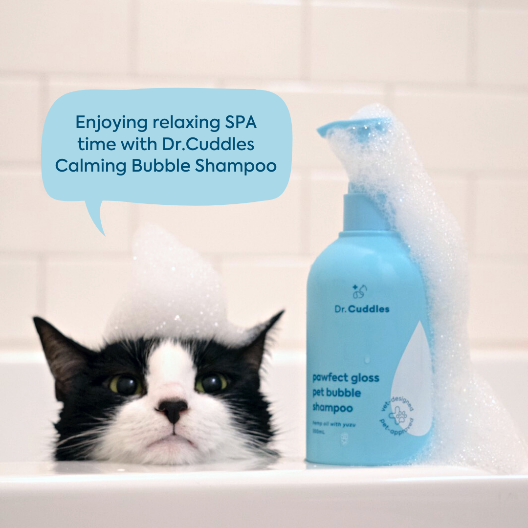 Wholesale Pawfect Gloss™ bubble pet shampoo