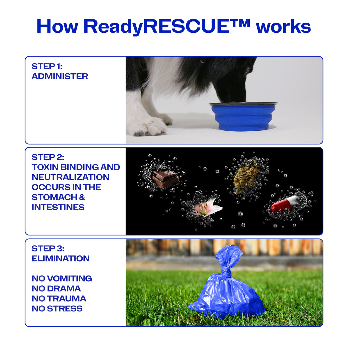 ReadyRESCUE™: lifesaving tool for chocolate & other pet poisons (treats up to 90 lbs )